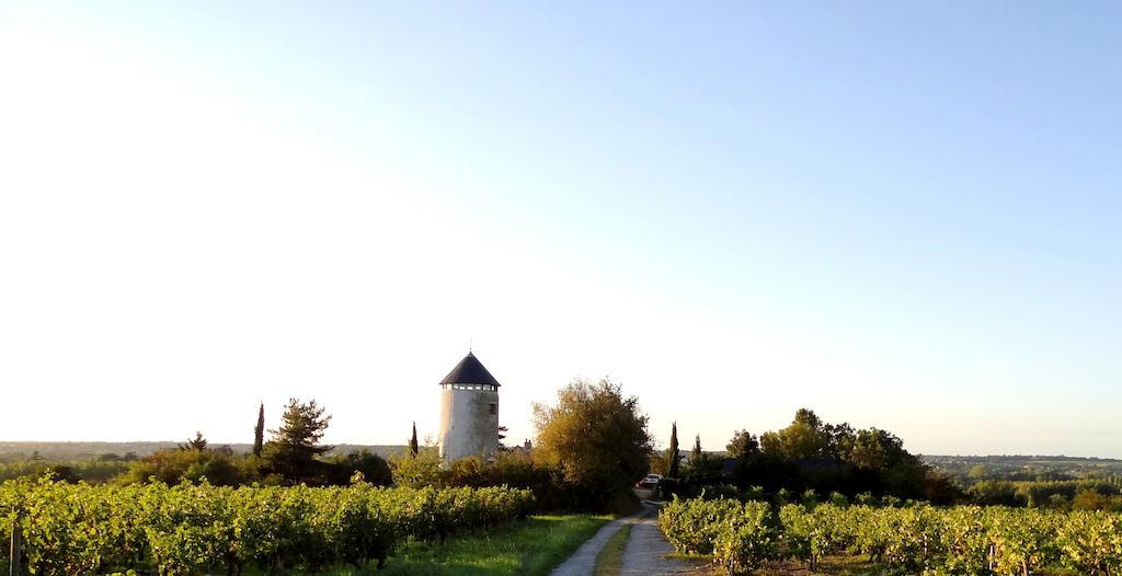 مبيت وإفطار Rochefort-sur-Loire La Tour Du Moulin Geant المظهر الخارجي الصورة