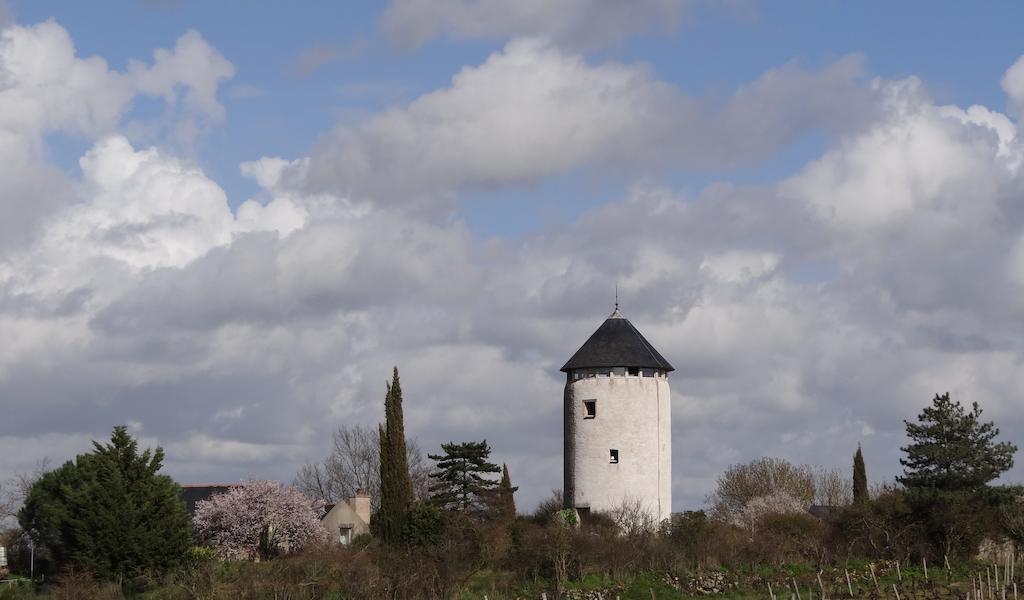 مبيت وإفطار Rochefort-sur-Loire La Tour Du Moulin Geant المظهر الخارجي الصورة