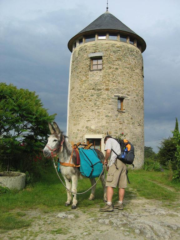 مبيت وإفطار Rochefort-sur-Loire La Tour Du Moulin Geant المظهر الخارجي الصورة